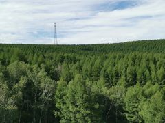 -塞罕坝国家级自然保护区