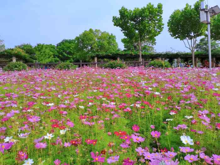 南湖幸福灣水上公園-