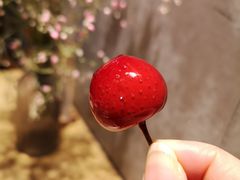樱桃鹅肝-小大董·烤鸭(五棵松店)