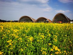 -中国天府农业博览园