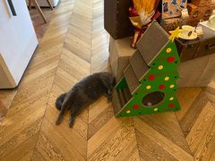 -Me Coffee下午茶艺术空间