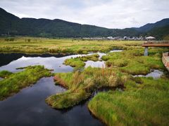 -腾冲北海湿地