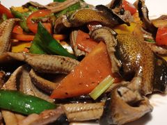 豉椒炒黄鳝-朱仔记食府(江南大道店)