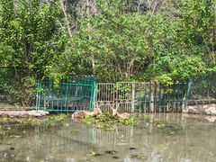 -溱湖国家湿地公园