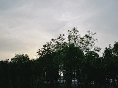 -天津东疆湾沙滩景区