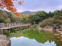 -白马涧龙池景区
