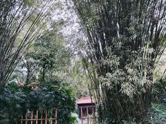 -广州兰圃