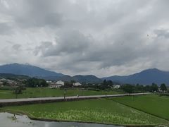 -黄牛肉馆·皖南土菜