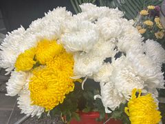 -FEI FEI FLOWER鲜花店·气球派对·宝宝宴布置(虹口德必运动Loft店)