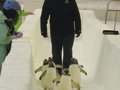 -广州热雪奇迹