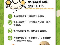 -康成宠物医院24H·CT·核磁共振