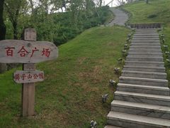 -莫子山公园
