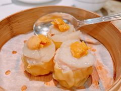 -上海和平饭店龙凤厅 Dragon Phoenix