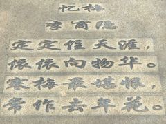 -无锡梅园公园