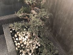 -红沃鳗鱼黑牛烤肉店(不老街店)
