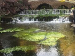-水磨沟公园