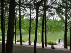 -上海山野camping·户外天幕烧烤·团建拓展营地