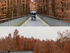 -青山湖景区