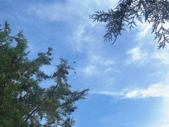 -北京十三陵国家森林公园蟒山景区