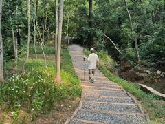 -青龙山国家森林公园