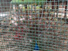 -南戴河国际娱乐中心