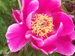 -金堂县云顶石城风景区