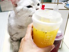 -奈雪的茶(漫广场店)