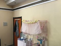 -青春加萌照相馆