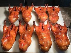 -星伦多 自助料理(圆融店)