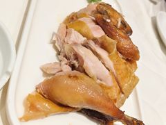 -凯鸽酒楼(振兴街店)