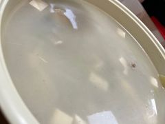 鱼头豆腐汤-聂记粤菜馆(鼓西路店)