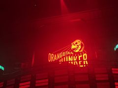-Orangutan Bunker猩猩地堡酒吧(兰桂坊店)