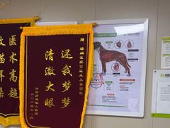 -瑞鹏宠物医院·眼科·皮肤·中兽医(大悦城分院)
