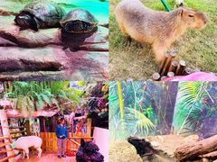 -正佳雨林生态植物园