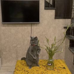 -威思丽高温瑜伽会馆