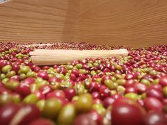-炖物24章·顺时轻养茶(杭州保利时光里店)