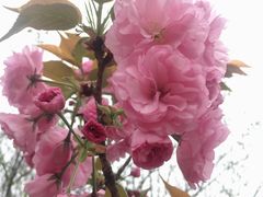 -蛙三泡椒牛蛙(万象城店)