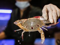 -V-ONE西雅图海鲜自助餐厅(仓山万达广场店)