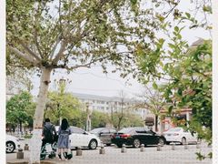 -咸阳湖景区-古渡公园