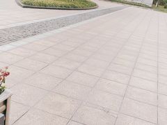 -九里河湿地公园