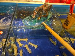-渔家大院·地道威海菜(石岛店)
