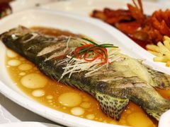 清蒸桂鱼-马凯餐厅(长椿街店)