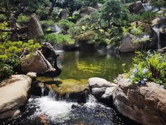 -罗红摄影艺术馆