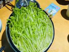 有机豆苗-洪氏嗨捞·广东猪肚鸡·椰子鸡火锅(西咸万象城店)