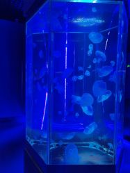 点击看大图 -未来动物城动物主题公园(大悦城店)