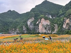 -边城茶峒景区