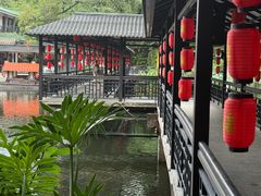 -侨美·唐荔园·40年地道粤菜