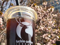 -瑞幸咖啡(尚都国际店)