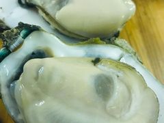 -土蚝·高压锅生蚝(百姓美食街店)