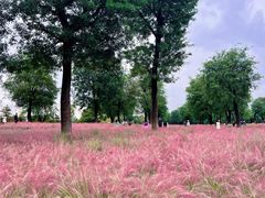 -汉长安城未央宫国家考古遗址公园